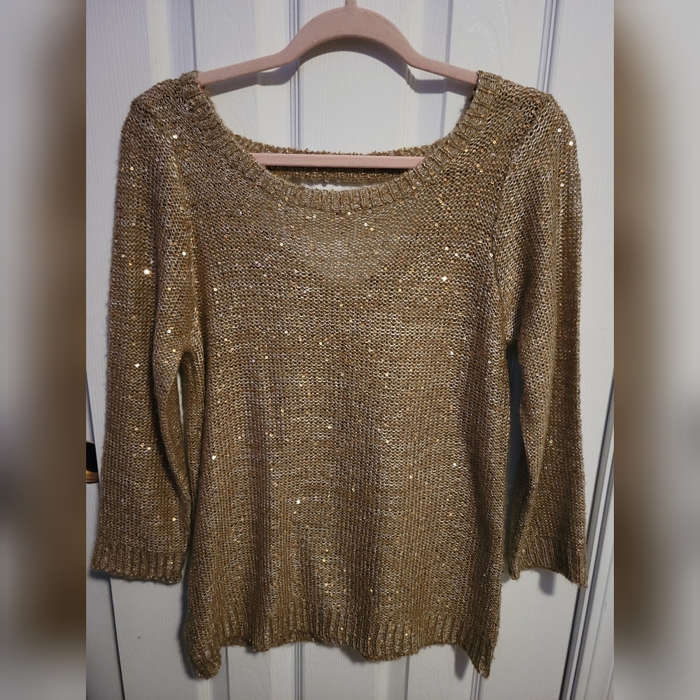 Like New Shimmer Sequin Sweater